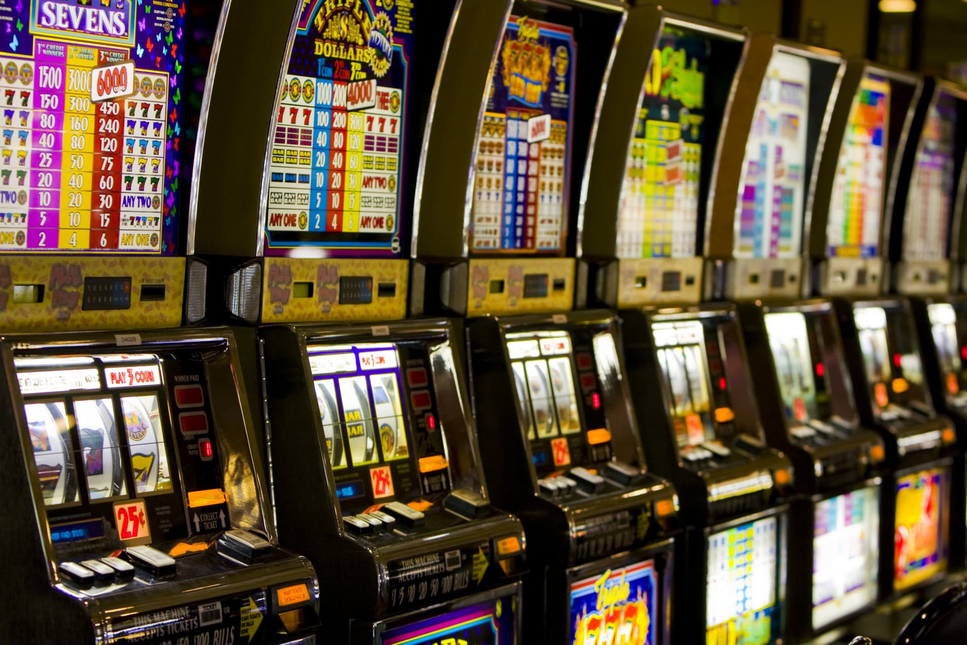 Your Guide to Online Casinos South Carolina: Legal Insights and Gaming Options